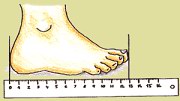 Měření délky nohy - vzdálenost mezi nejzazším bodem oblouku paty a koncem nejdelšího prstu